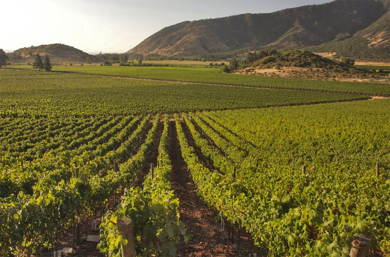 Vinícolas Santiago
